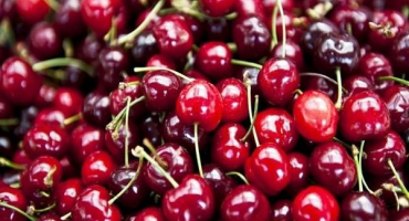 18 Jednoduchých receptů na přípravu třešňového džemu na zimu